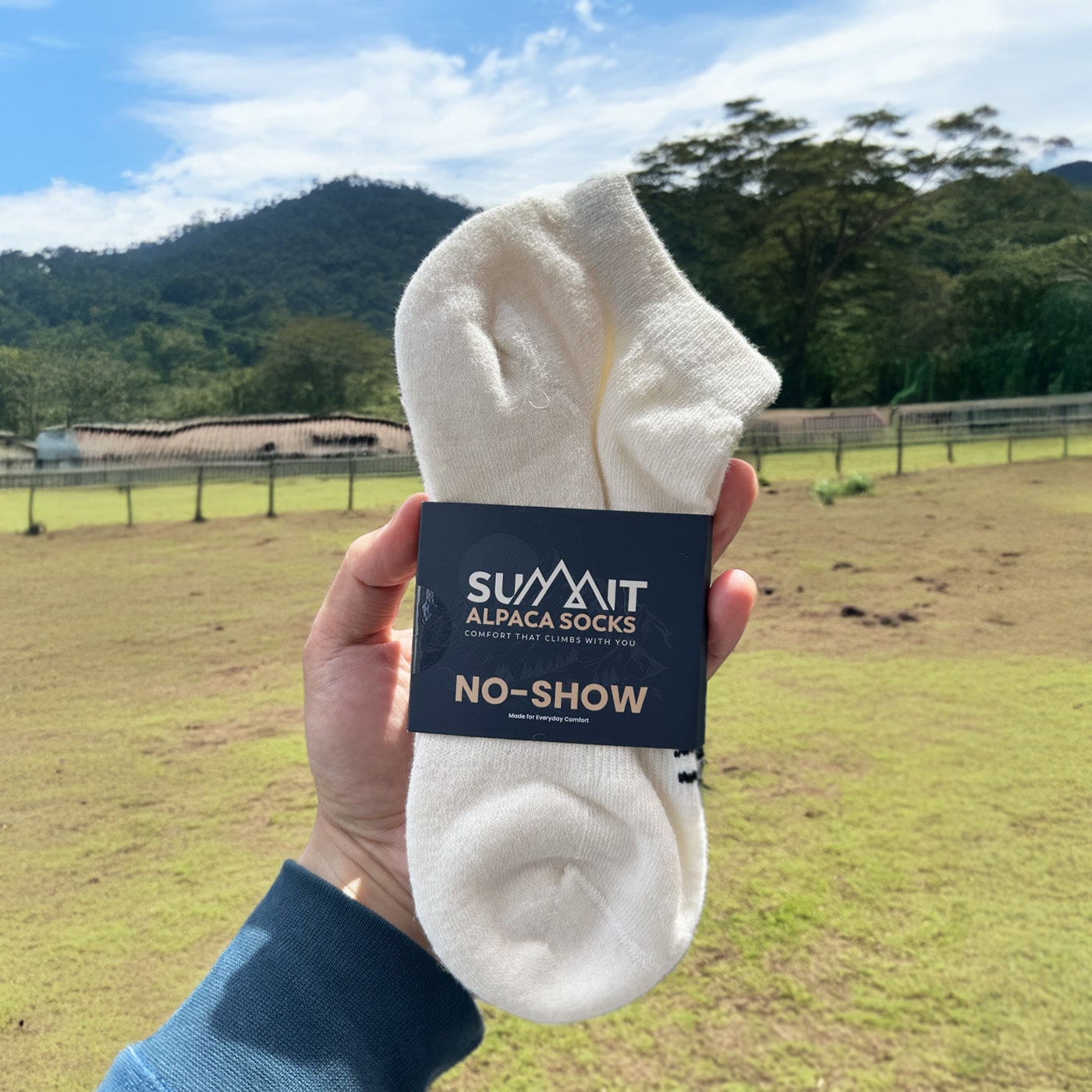 Alpaca No-Show Socks